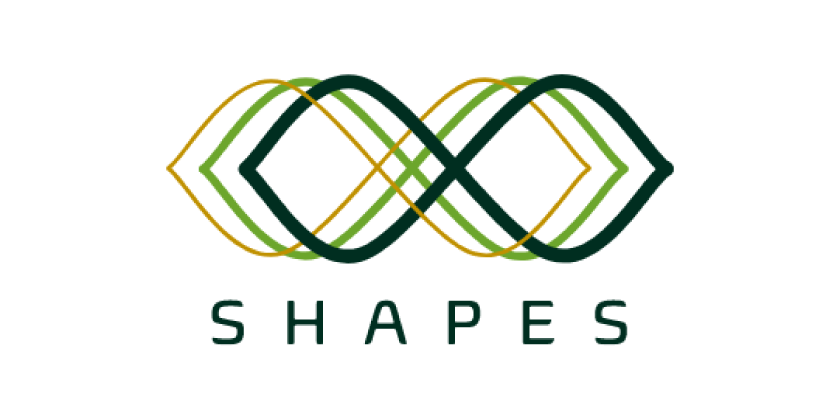 SHAPES