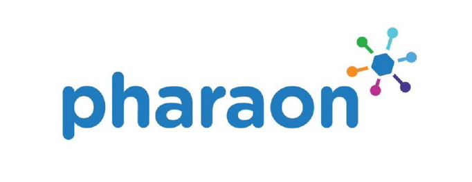 Mental strengthening of older people: The Pharaon project